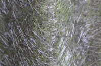 Rasharkin fibreglass roof work